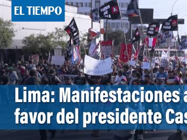 Marcha en Lima a favor del presidente Castillo