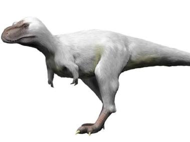 El Nanuqsaurus pesaba tanto como dos grandes osos polares machos.