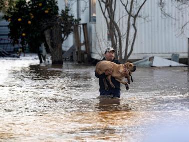 Perro siendo rescatado de las inundaciones que mantienen aisladas las vías y viviendas en el estado de California.