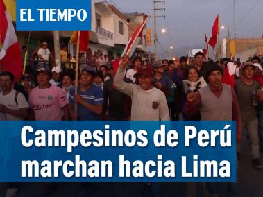 Cientos de campesinos peruanos salieron el lunes desde Puno hacia Lima, para pedir la renuncia de la presidenta Dina Boluarte.