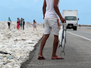 Pescadores en la carretera que comunica a Barranquilla con Santa Marta, en el Parque Isla de Salamanca (Colombia).