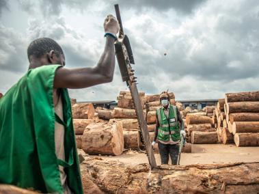 NYT: La industria maderera proporciona 30 mil empleos en Gabón. Una fábrica que fabrica triplay de árboles de la selva tropical.