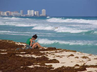 Turistas permanecen en una playa invadida por sargazo, el 13 de febrero de 2023, en Playa del Carmen (México).