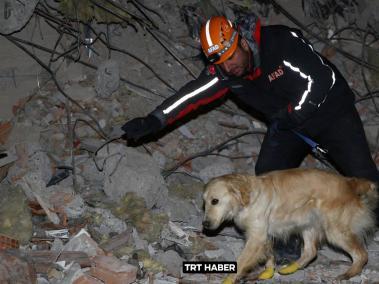 Kokup, el perro rescatista que salvó cinco vidas