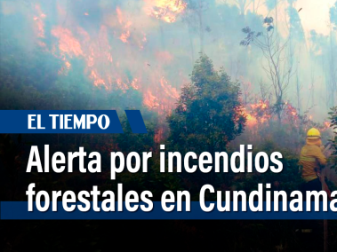 En febrero se han reportado 50 emergencias en 21 municipios. En lo corrido del año, han atendido 65 conflagraciones y se han quemado 318 hectáreas.