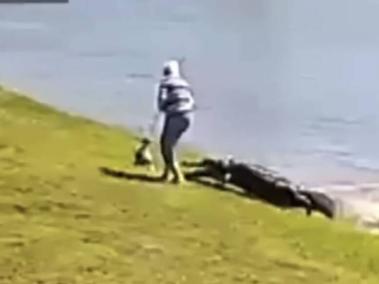 Momento en el que un caimán ataca a la mujer de 85 años y a su perro en un lago de La Florida.