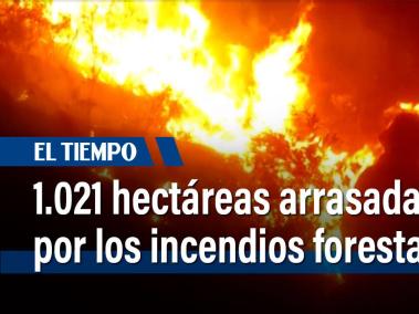 Las autoridades permanecen en alerta, en las últimas 24 horas se generaron 14 conflagraciones. Hay focos activos en cinco municipios de Cundinamarca.