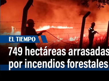 749 hectáreas arrasadas por incendios forestales