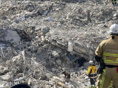 'Milo' busca vida entre los escombros de un edificio en Turquía,