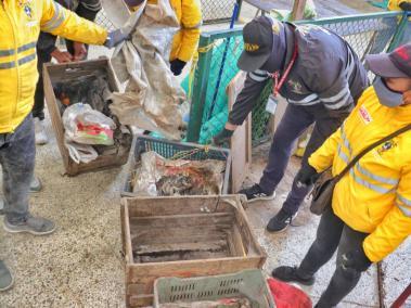 La Alcaldía de Soacha dijo que se encontraron roedores, excremento de paloma y venenos en las bodegas.