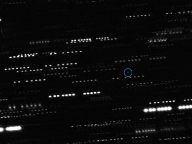 NYT: El objeto interestelar Oumuamua , en una imagen capturada por telescopios en la Tierra.