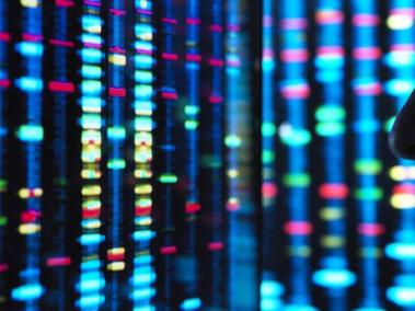 BBC Mundo: secuenciación de genoma