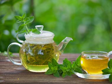 aromáticas: Noticias, Fotos y Videos de aromáticas