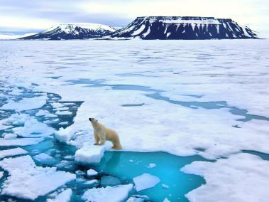 El hielo marino en el Océano Ártico ha estado disminuyendo debido al calentamiento global.