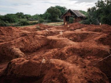 NYT: Los cuerpos de más de 100 seguidores de Paul Nthenge Mackenzie han sido exhumados en el bosque en Kenia.