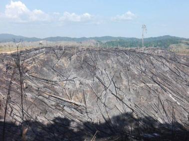 Áreas deforestadas en Antioquia