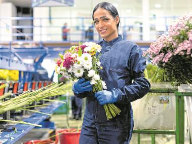 Édinson integra una cadena de producción que prepara bouquets de flores.