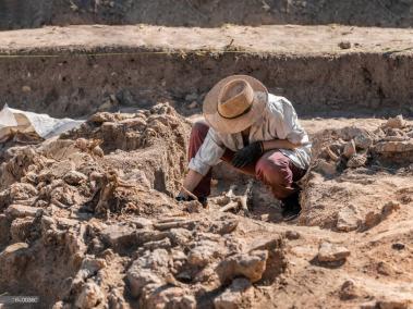 El descubrimiento y estudio de icnitas involucra a diversos profesionales en el campo de la arqueología y disciplinas relacionadas.