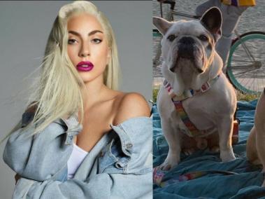 Los bulldogs franceses Koji y Gustav, de Lady Gaga, fueron robados en febrero de 2021.