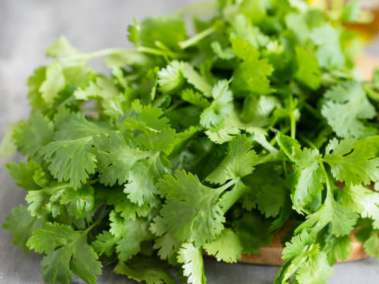 El cilantro se utiliza con frecuencia como condimento o guarnición en una amplia variedad de platos.