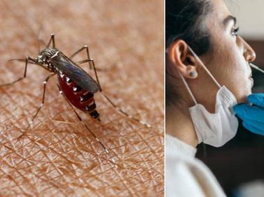 Se trata del brote de dengue más fuerte de los últimos cinco años en Perú.