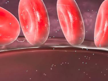 El hígado convierte la grasa en un impulsor llamado cetona que hace que la sangre se vuelva ácida.