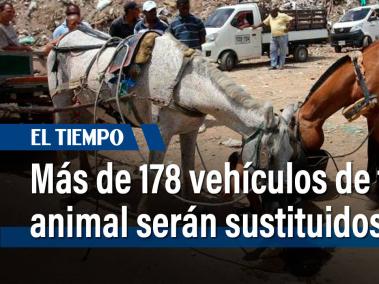 Gobernación sustituirá 178 carruajes en los municipios de Facatativá, Madrid, Mosquera y Girardot.