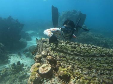 Una apneísta en una jornada de limpieza submarina, en las Islas del Rosario.