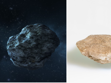 Pensó que era una piedra pero resultó ser un meteorito.