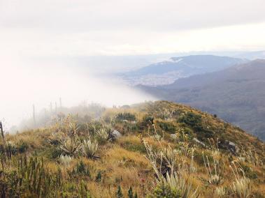Los cerros Guadalupe - Aguanoso.