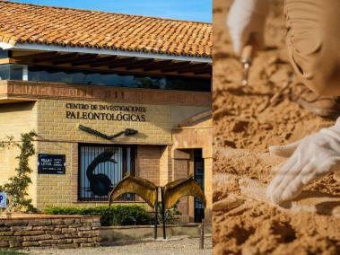 El Centro de Investigaciones Paleontológicas de Villa de Leyva cuenta con uno de los laboratorios más avanzados de Latinoamérica en la preparación de fósiles.