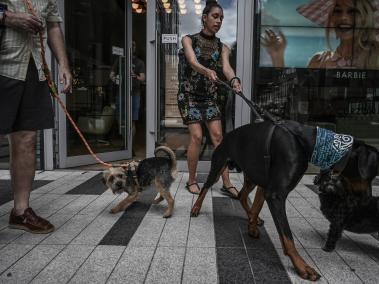 NYT: Luisa Fulcher y su perro, Kab, afuera del cine Curzon Aldgate. "Hoy las mascotas son parte de la familia", afirmó.