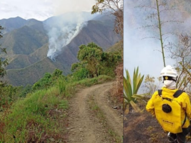 Incendios voraces y devastadores en el sur del Valle del Cauca.