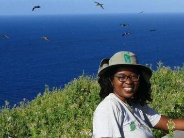 Las aves marinas han regresado a la pequeña isla caribeña de Redonda.