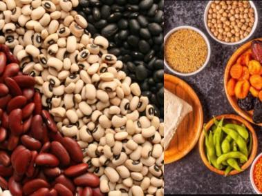 Alimentos de origen vegetal también proporcionan proteínas