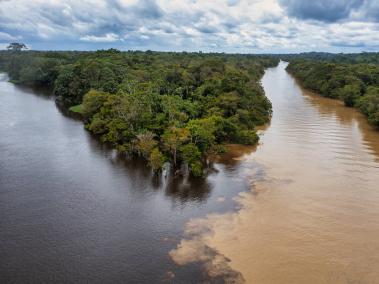 Más de la mitad de Colombia, unos 59 millones de hectáreas, está cubierto por bosques y selvas naturales.