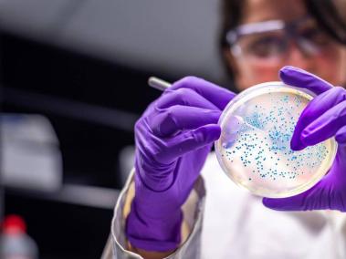 Las superbacterias son motivo de investigación entre los científicos que buscan alternativas a los antibióticos.