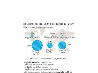 Total de hectáreas deforestadas en el mundo en 2022.