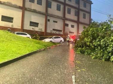 Caída de un árbol en la avenida Kevin Ángel, sentido Universidad Autónoma – Mallplaza, en Manizales.