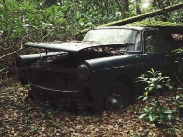 Un youtuber recorrió la campiña francesa y encontró varios modelos de autos clásicos abandonados.