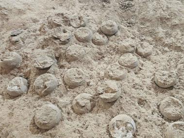 Fósiles de huevos de dinosaurio cristalizados descubiertos en Shiyan, provincia de Hubei, en el centro de China.