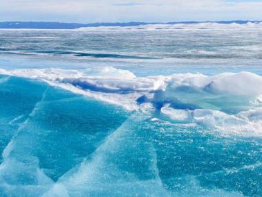 En el hielo de Siberia han encontrado varios animales que han vivido por cientos de años.