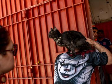 NYT: La prisión principal en Santiago de Chile tiene 5 mil 600 reos, muchos de los cuales han hallado consuelo cuidando gatos.