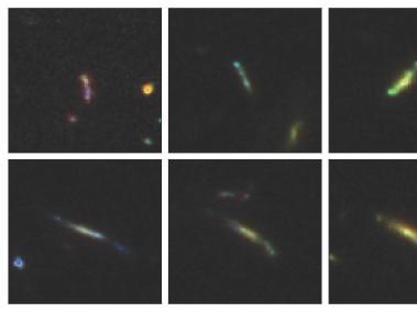 NYT: Las galaxias en su infancia, captadas por el telescopio espacial James Webb, parecen alargadas, no redondas.
