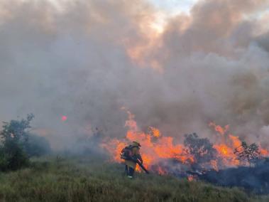 Por lo menos 7.000 hectáreas de bosques y pastos se han quemado.