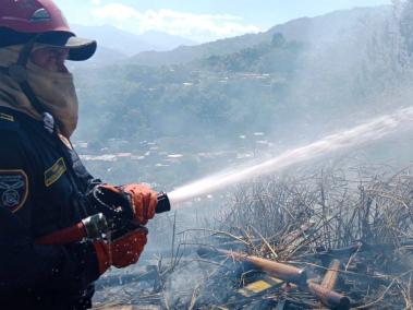 Bomberos luchan contra los incendios que se propagan en el país a causa de las altas temperaturas.