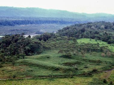 NYT: Un complejo de plataformas de tierra rectangulares por el borde de un acantilado del Río Upano en el este de Ecuador.