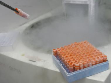 Un investigador científico manipula células madre embrionarias congeladas en un laboratorio.