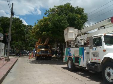 Los trabajos de mantenimiento a las redes eléctricas continúan este miércoles.