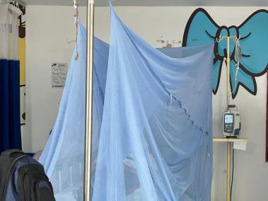 Tres muertos por dengue en Tolima